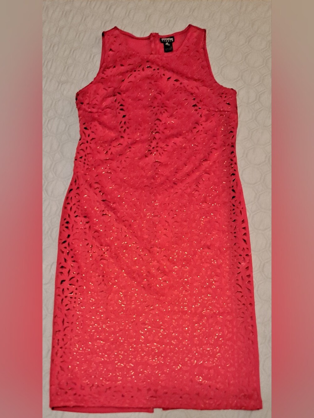 En Focus Studio Dark Red Lace Sleeveless Women’s Dress Sz 12